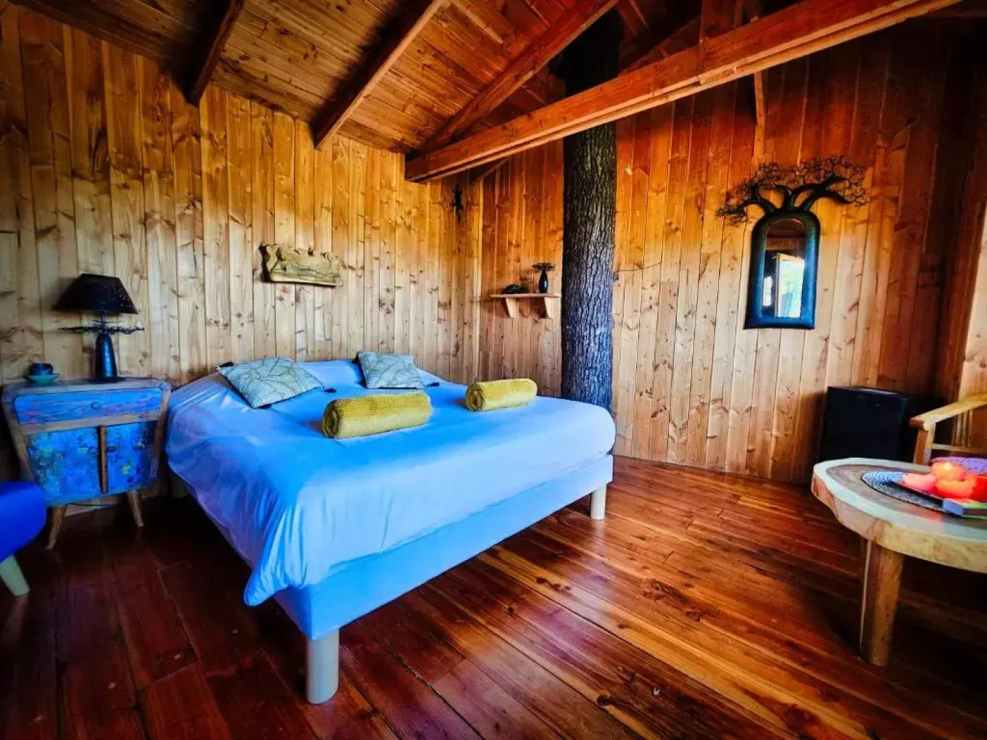 Hetre Sous Le Charme