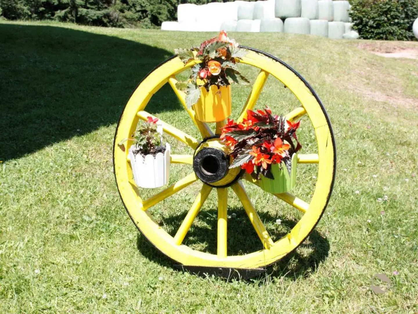 Ferienwohnungen Duffner