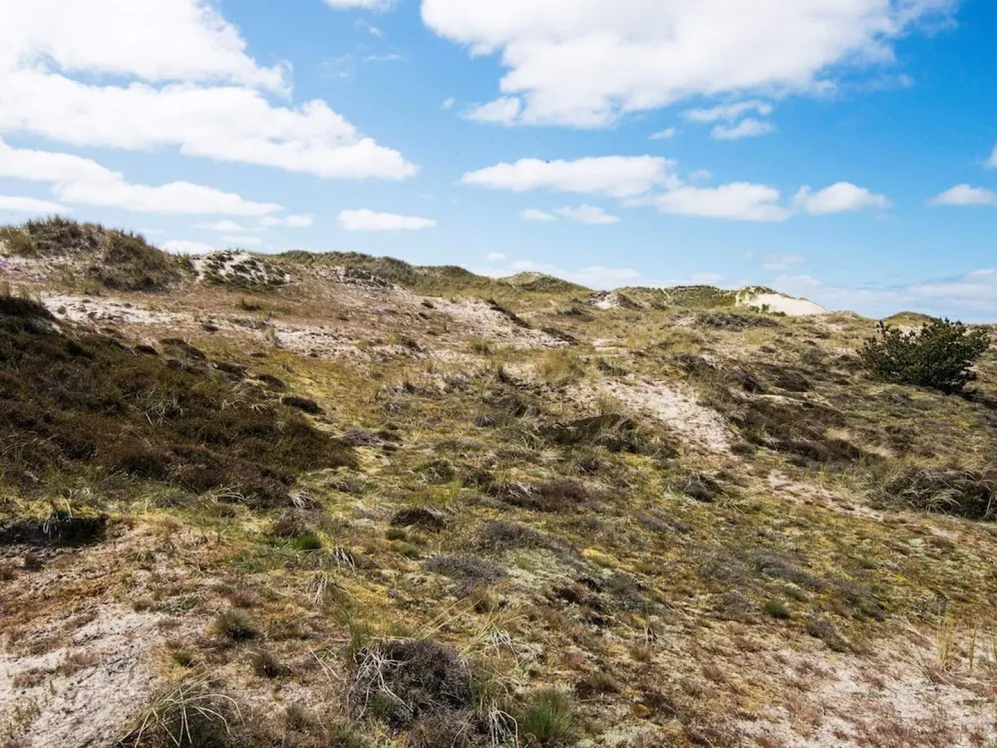 12 Person Holiday Home in Fano