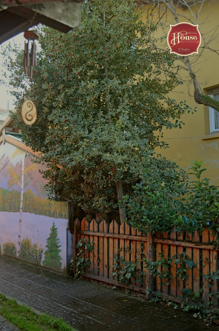 The House Hostel Resto & Bar Bariloche