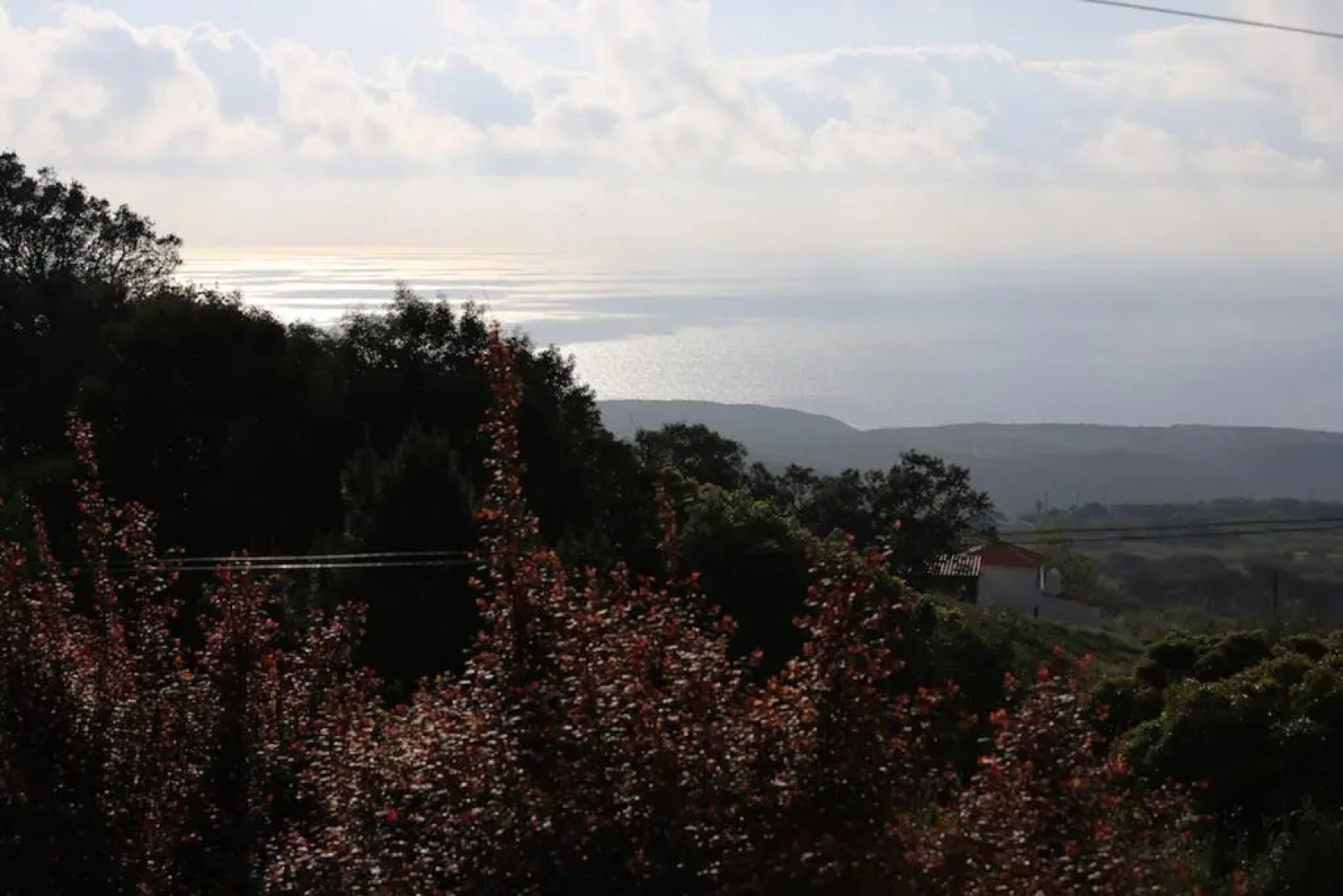 A House in The Woods