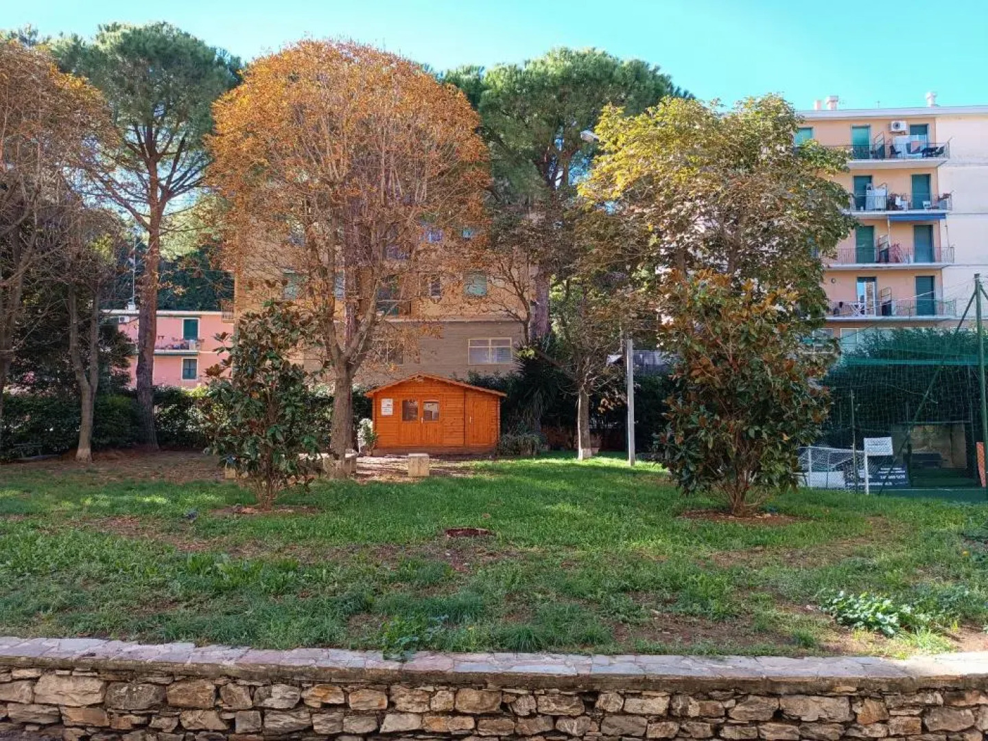 A Dream codice CITRA 010047-LT-0161