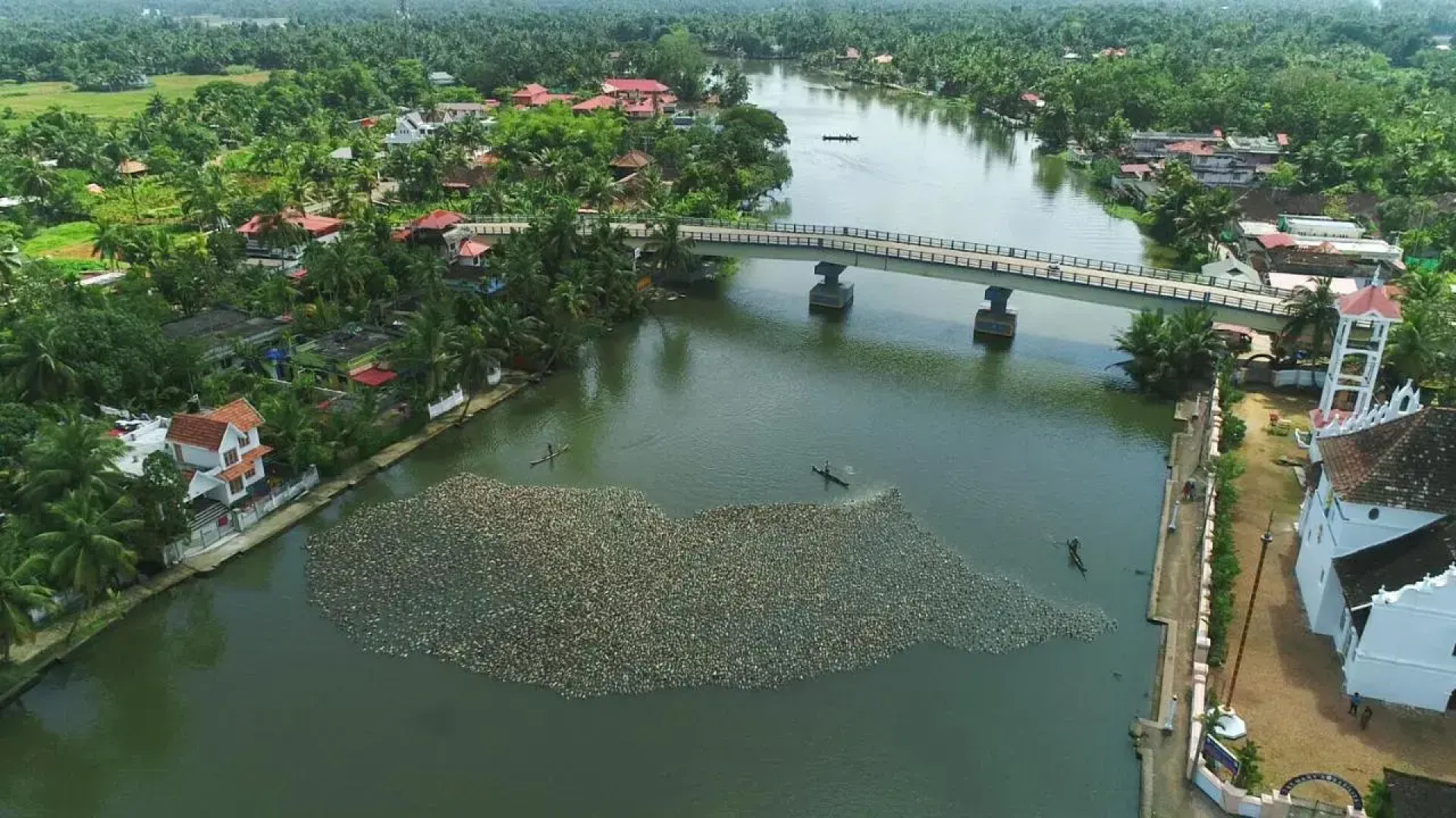 Triveny River Palace