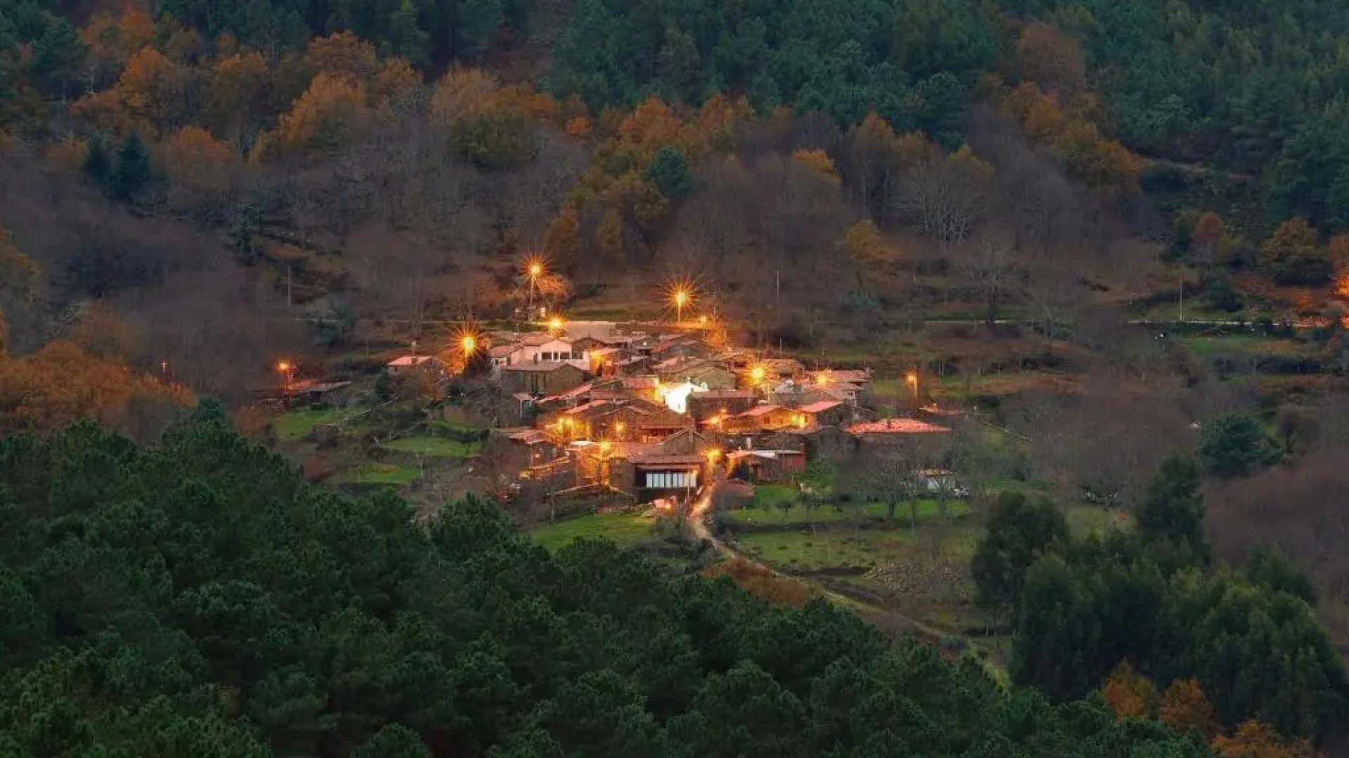 Cellar House - Casa do Palheiro