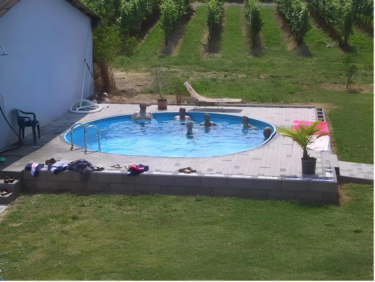 Weingut-Pension Tiliahof