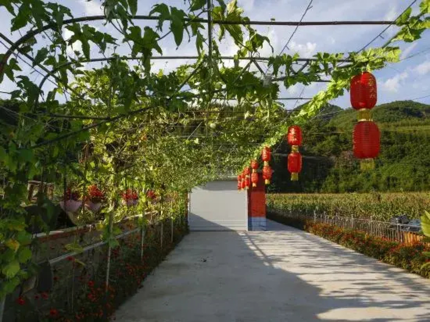 Wangjia Dayuan Homestay