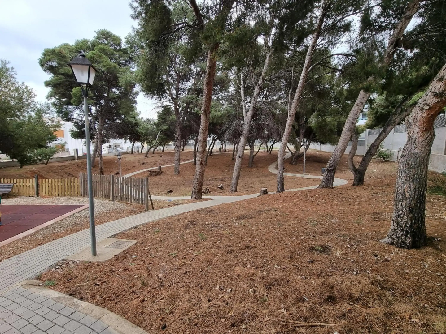 Pinar de GARRUCHA