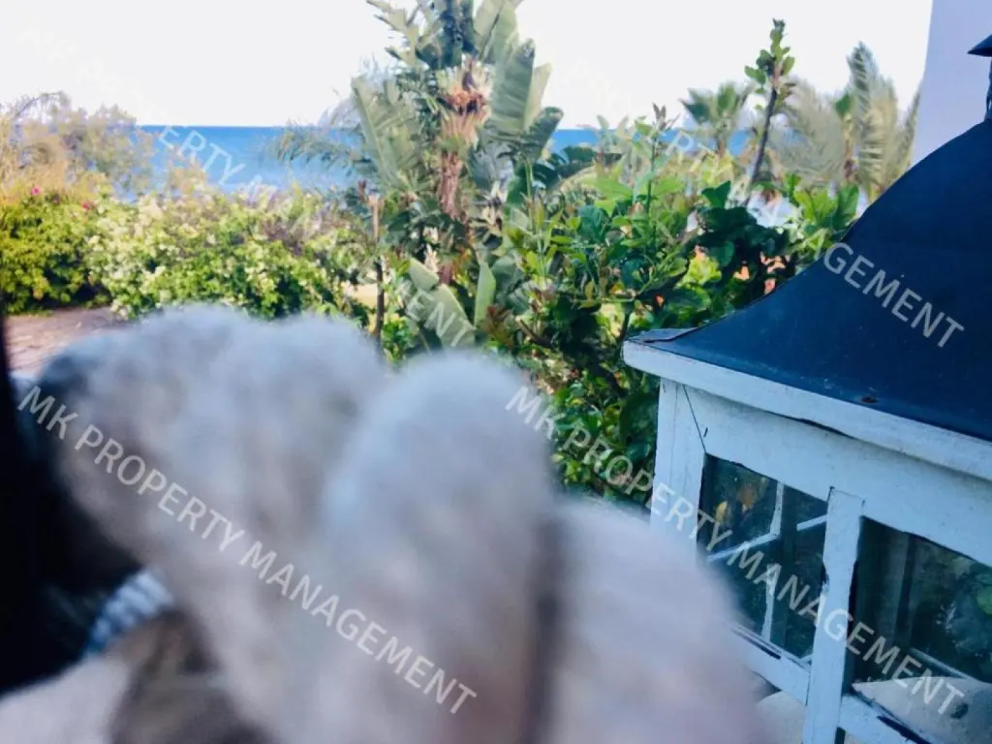 Yiallos Village C107