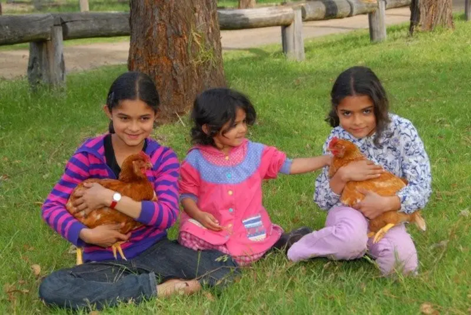 The Tops Organic Retreat