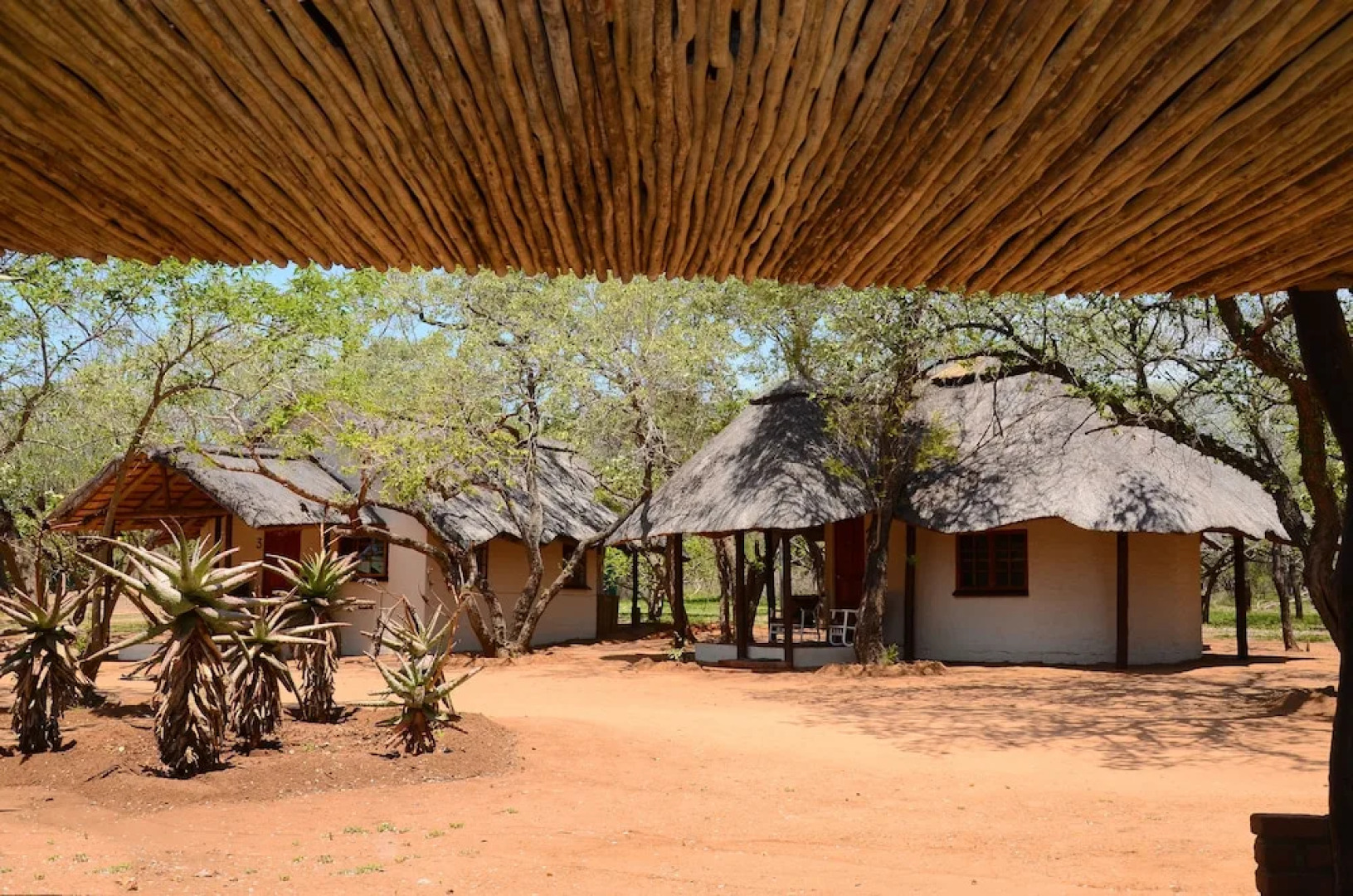 Wild Dogs Safari Lodge