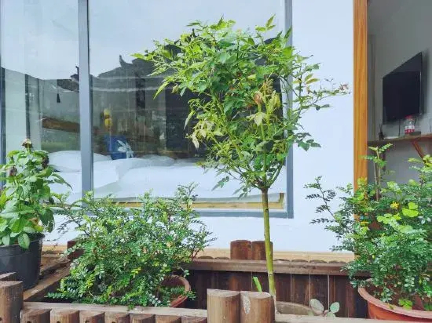 Yunxi Bieyuan Guesthouse