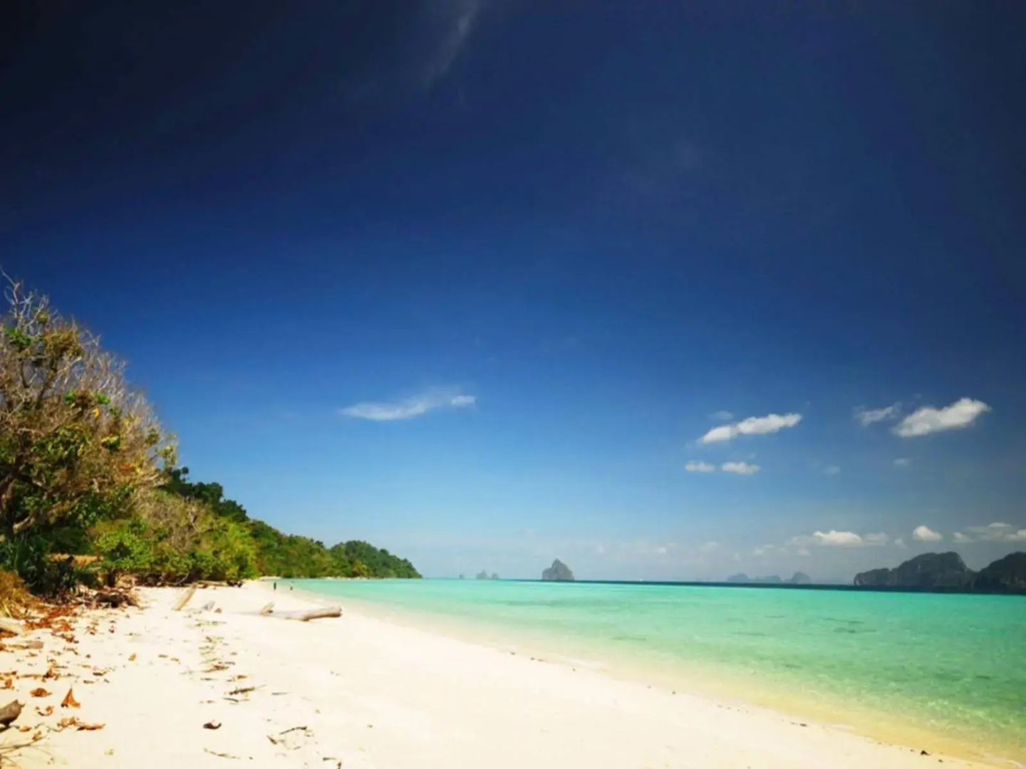 Reef Resort