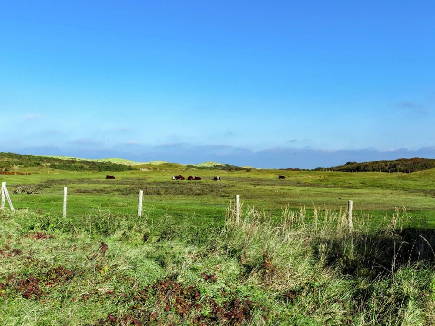 Quaint Apartment in Oostkapelle Zealand with Terrace