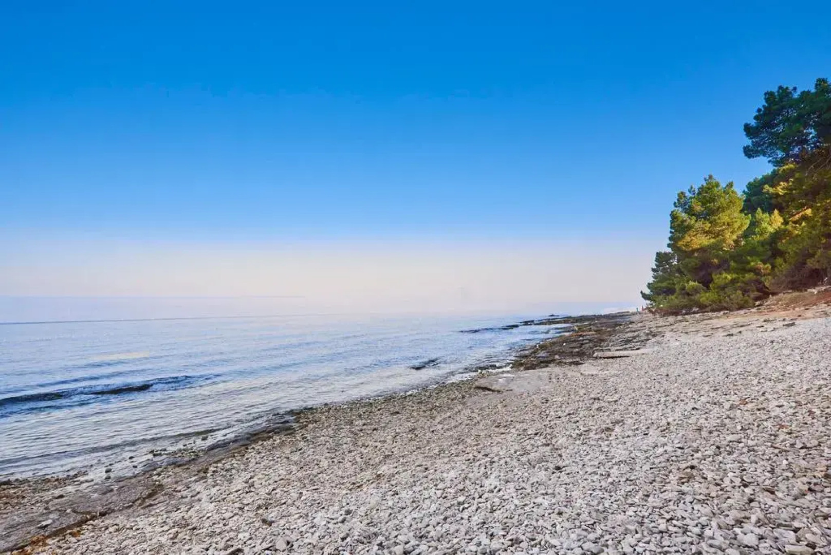 Savudrija Apartments