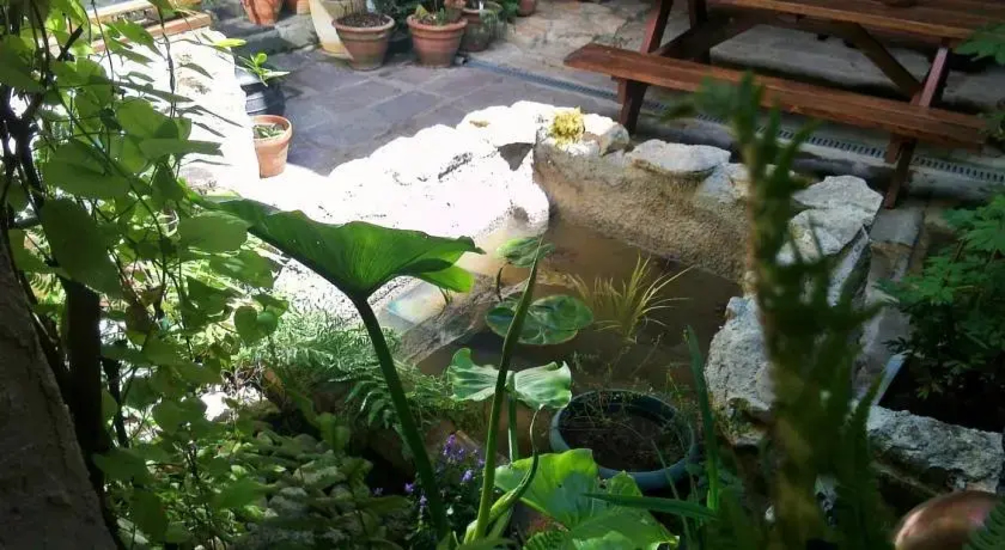 La Ferme Des Vikings