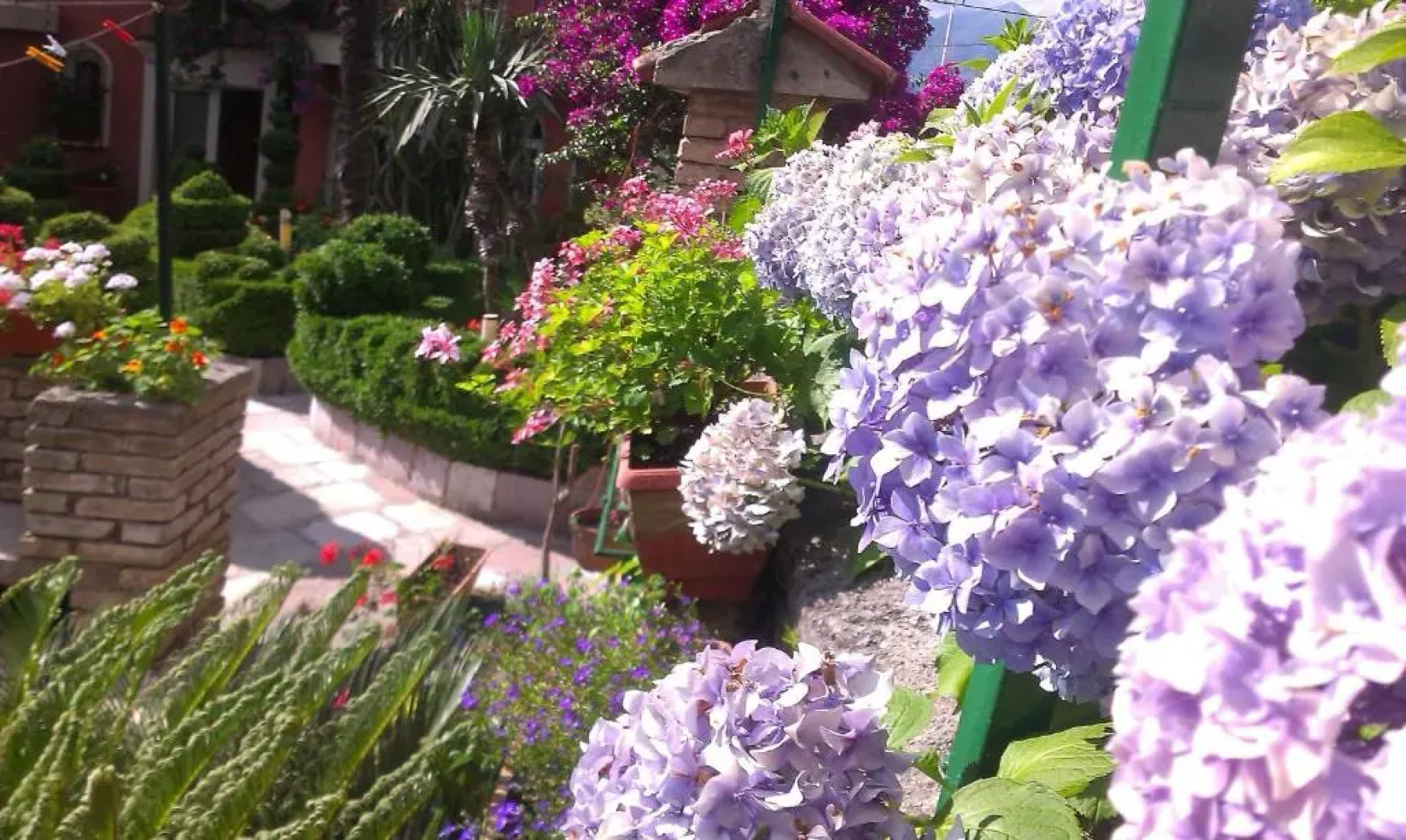 Apartment City Garden