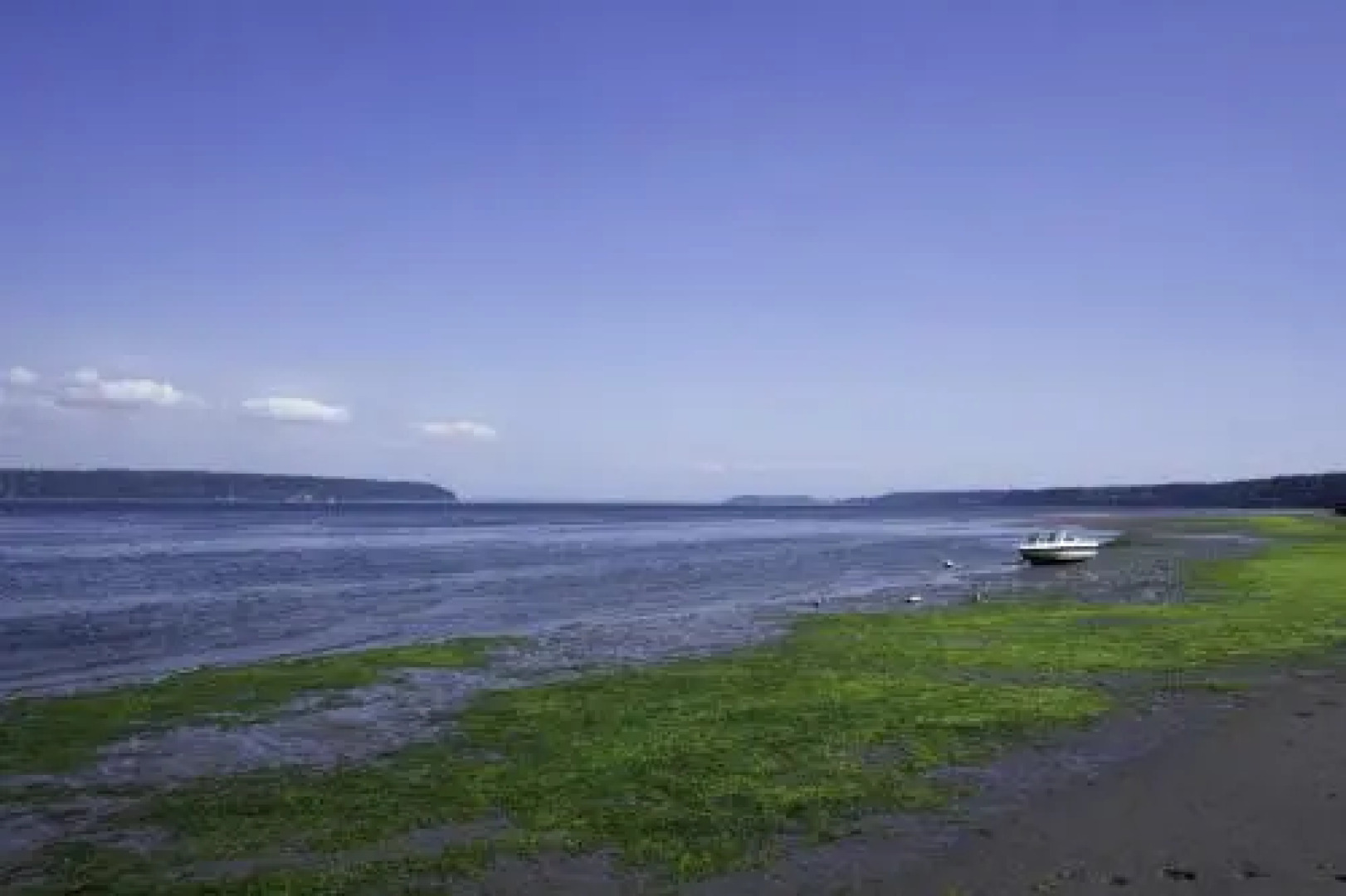 238 - Bells Beach Getaway