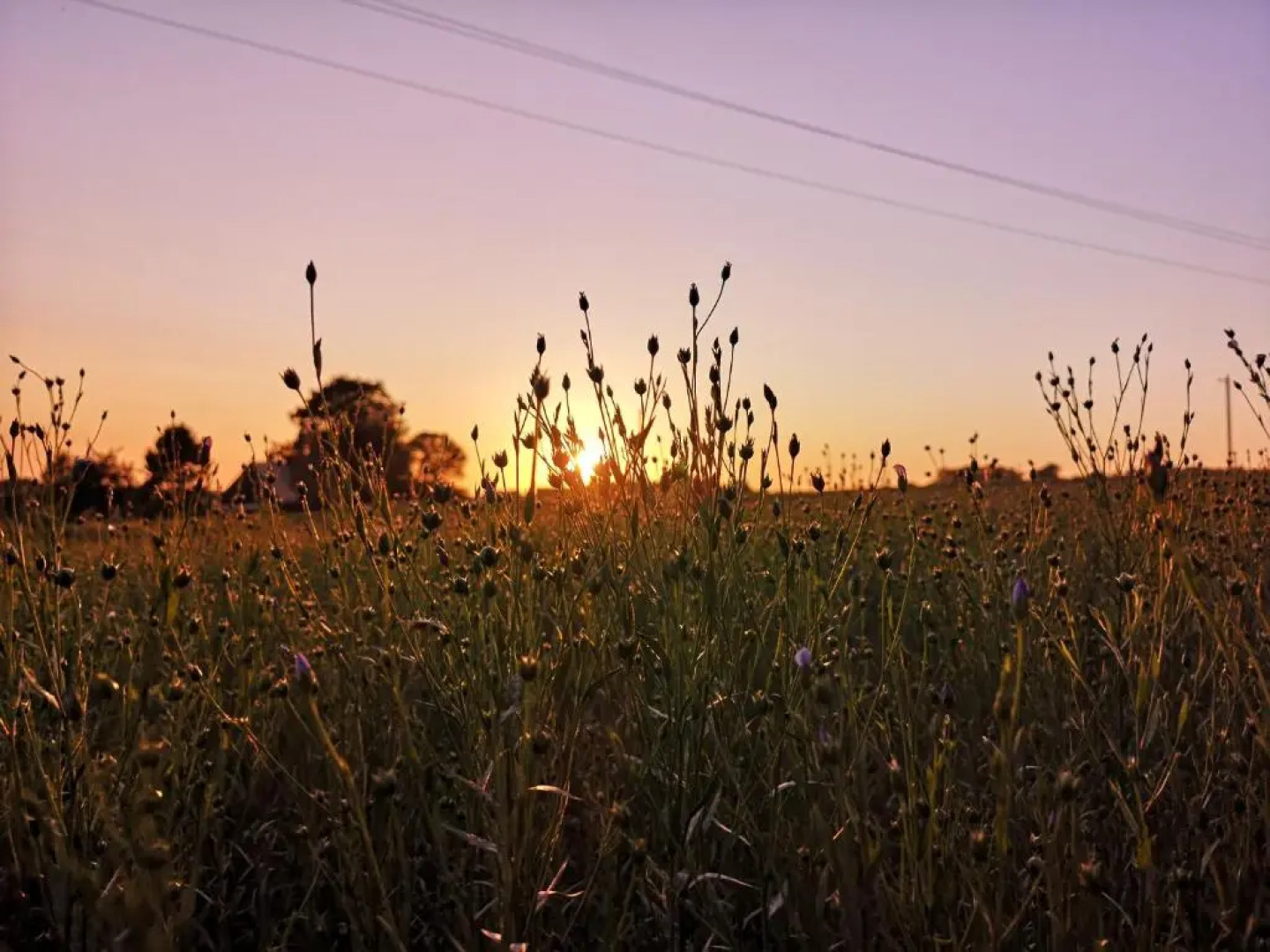 Les Chambres de Thiergeville