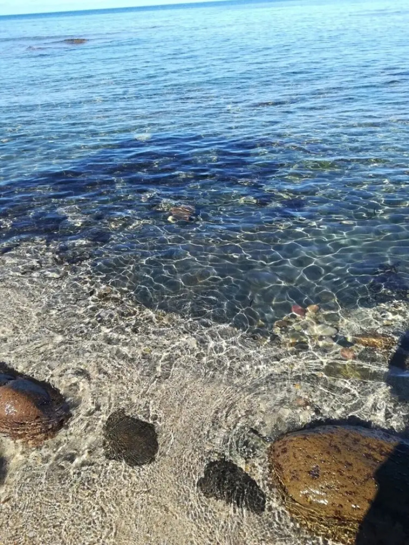 Affittimoderni Viddalba Bouganville