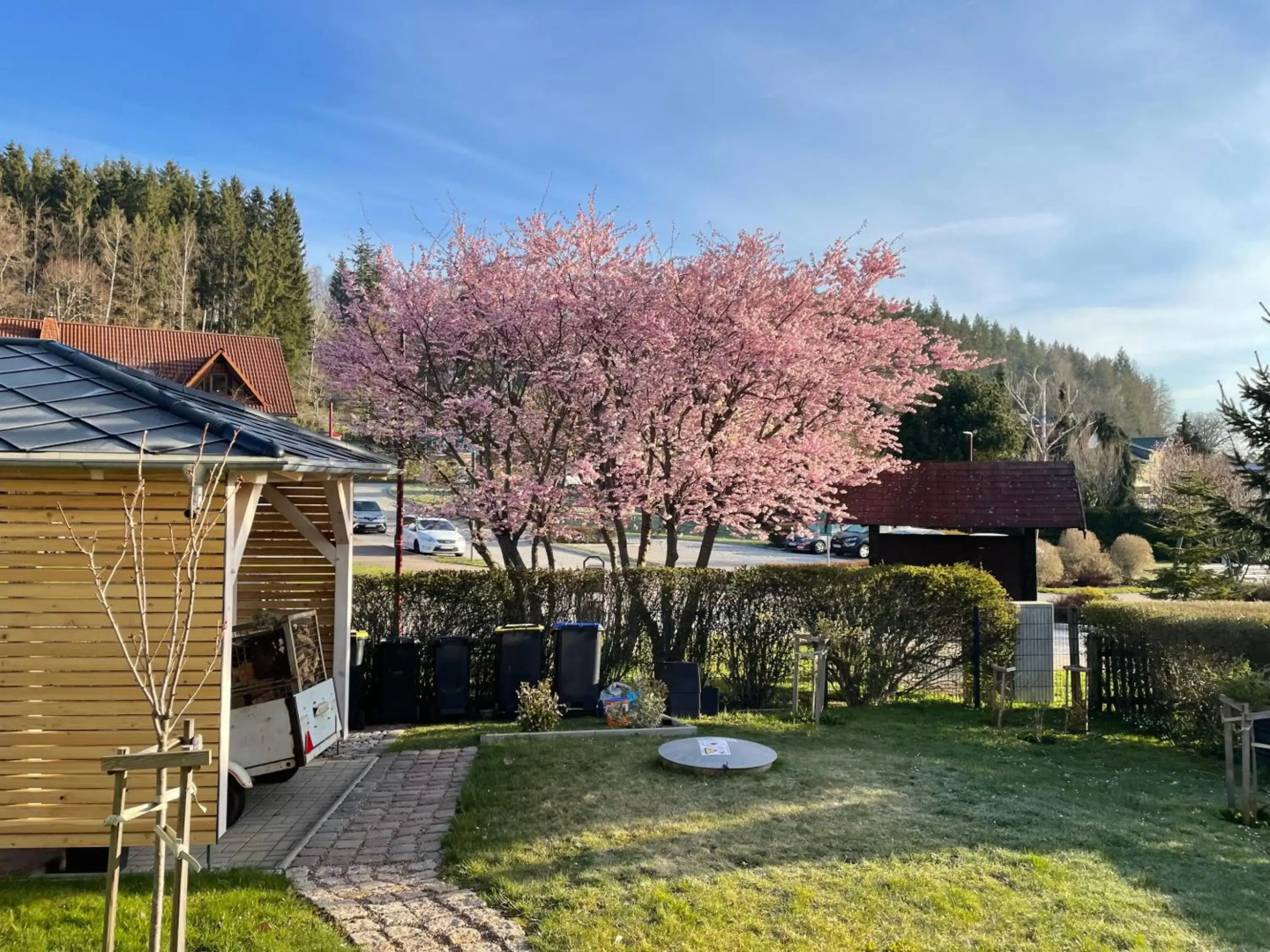 Wanderlust - Thüringer Wald, Rennsteig, Finsterbergen