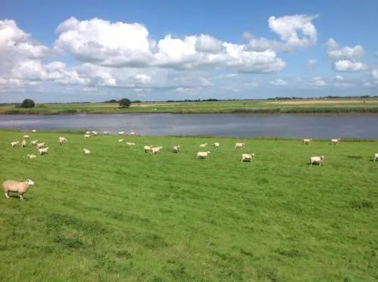 Ferienhaus-Hemmerdeich