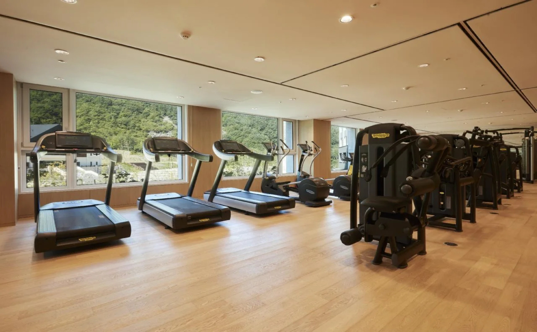 PARK ROCHE Resort & Wellness