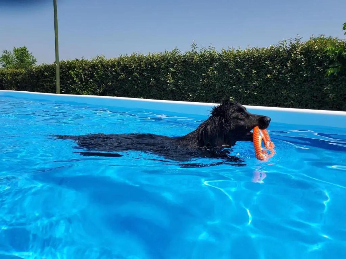 Agriturismo Delizia DEste