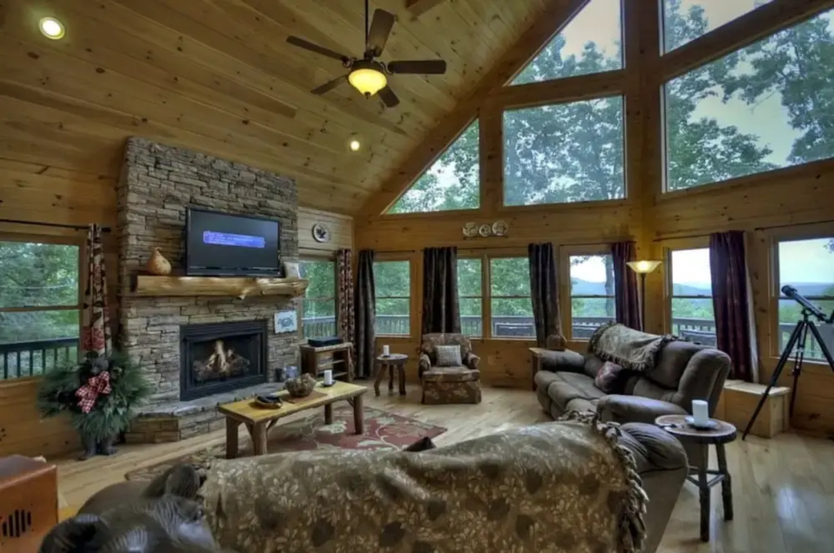 Treasure In The Trees