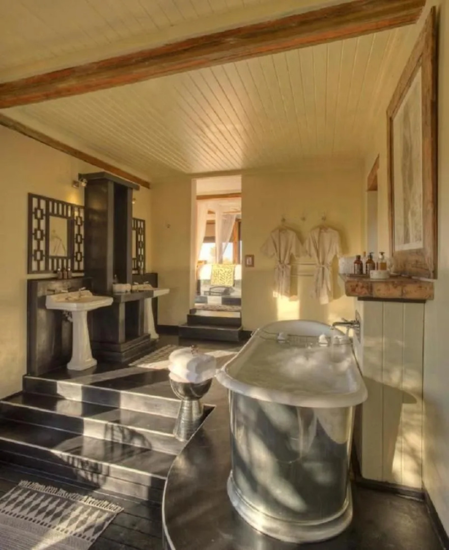 Feline Fields By Mantis