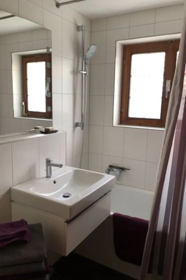 Apartment Strubeli St Stephan