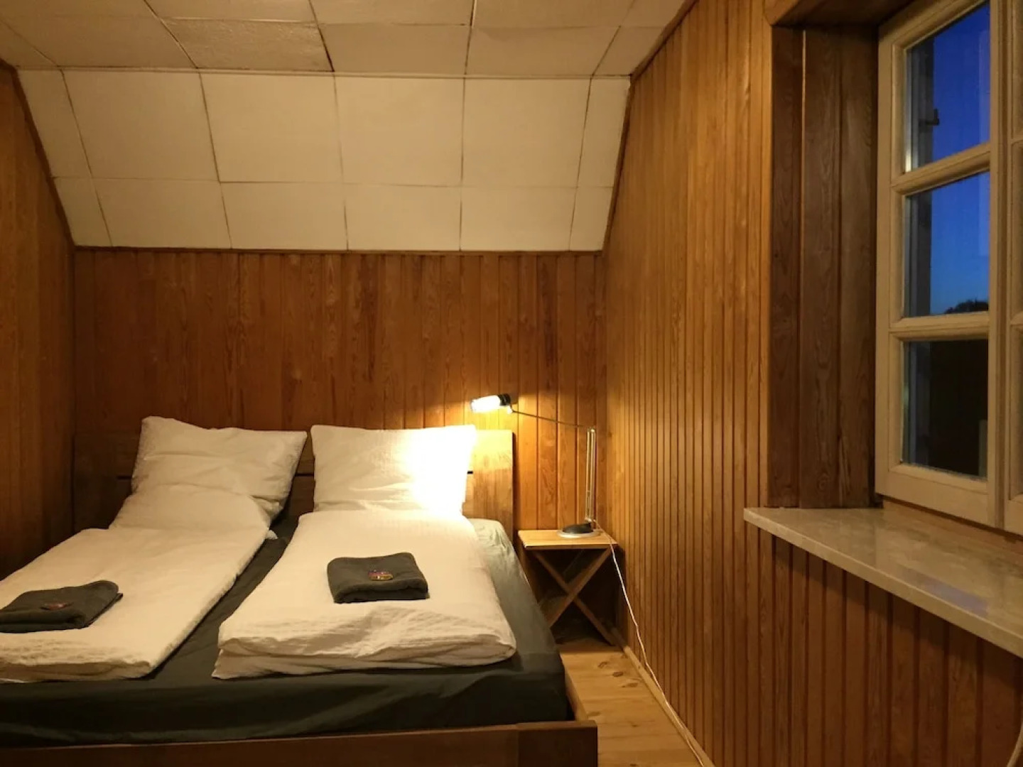 Natur pur in den Amperauen