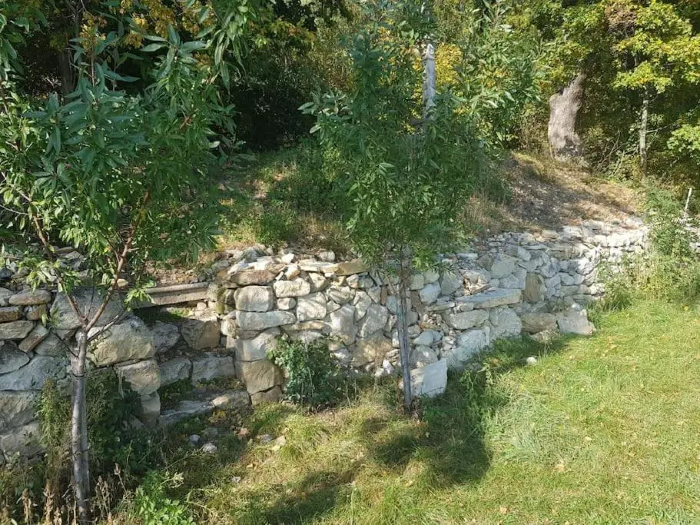 Wunderschöne Terrassenwohnung mit Seeblick! Ruhelage!
