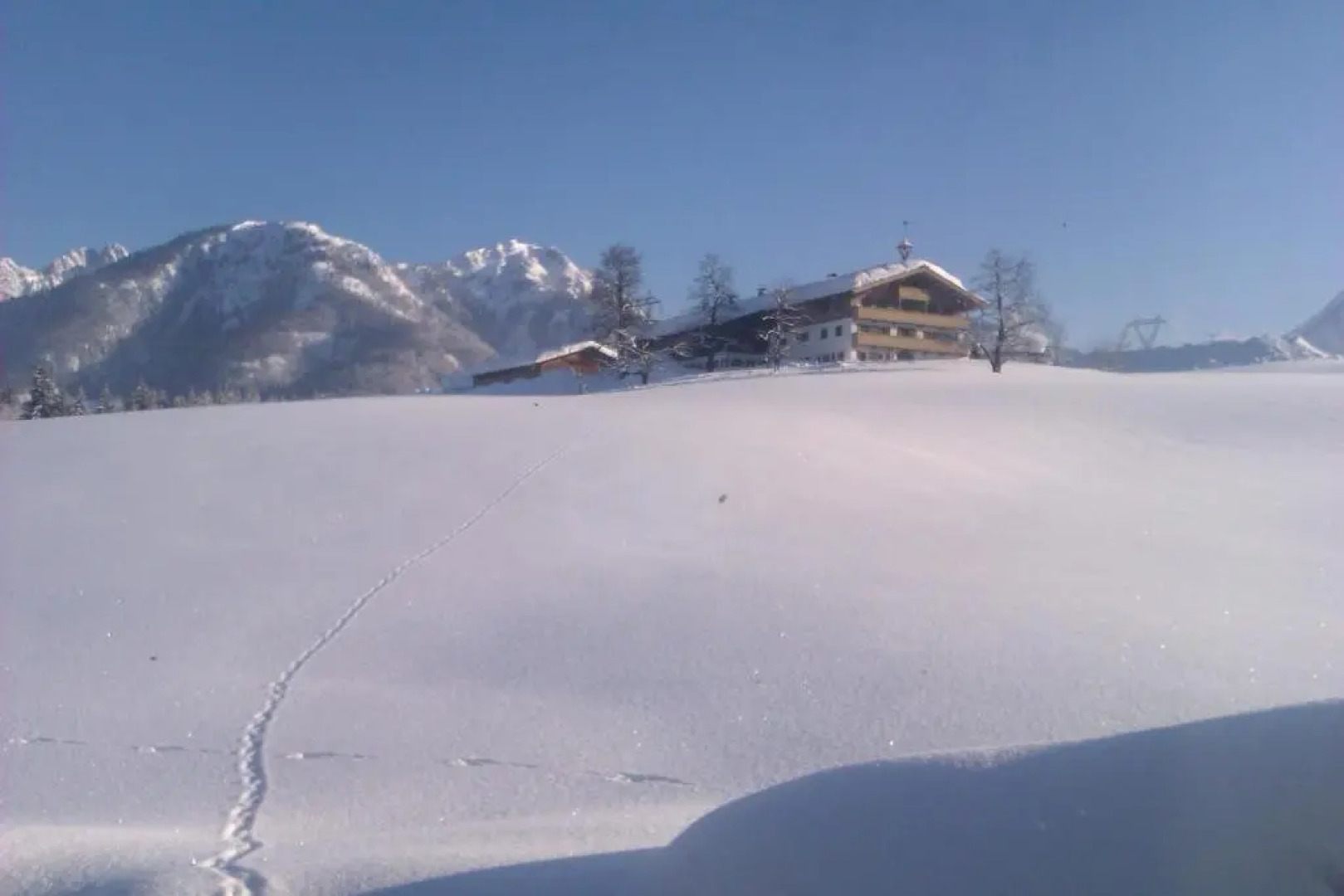 Appartement Seebacher