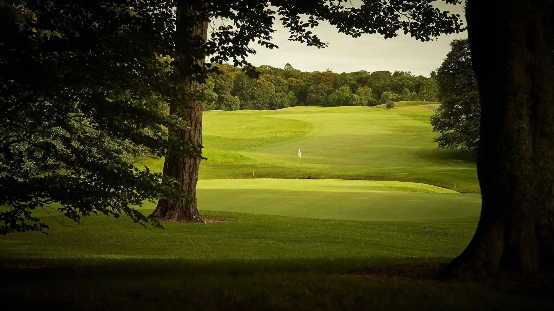 Mount Juliet Estate Hunter’s Yard