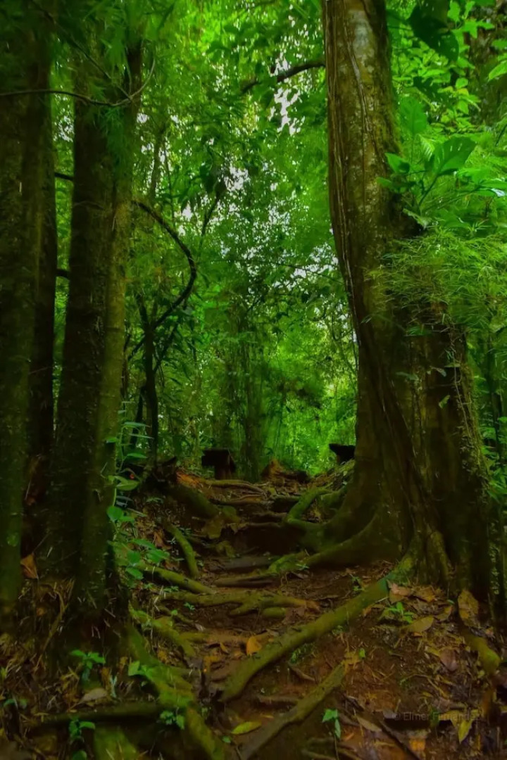 Posada Cerro Escondido