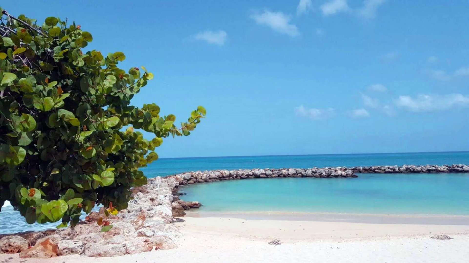 Margaritaville Beach Resort Grand Cayman