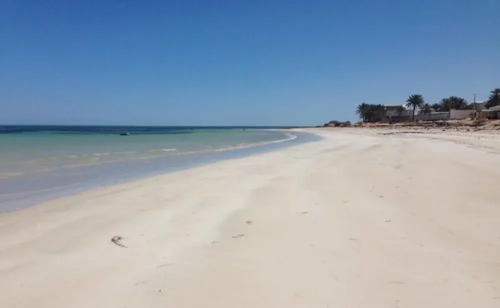 Appart Hotel Flamingo