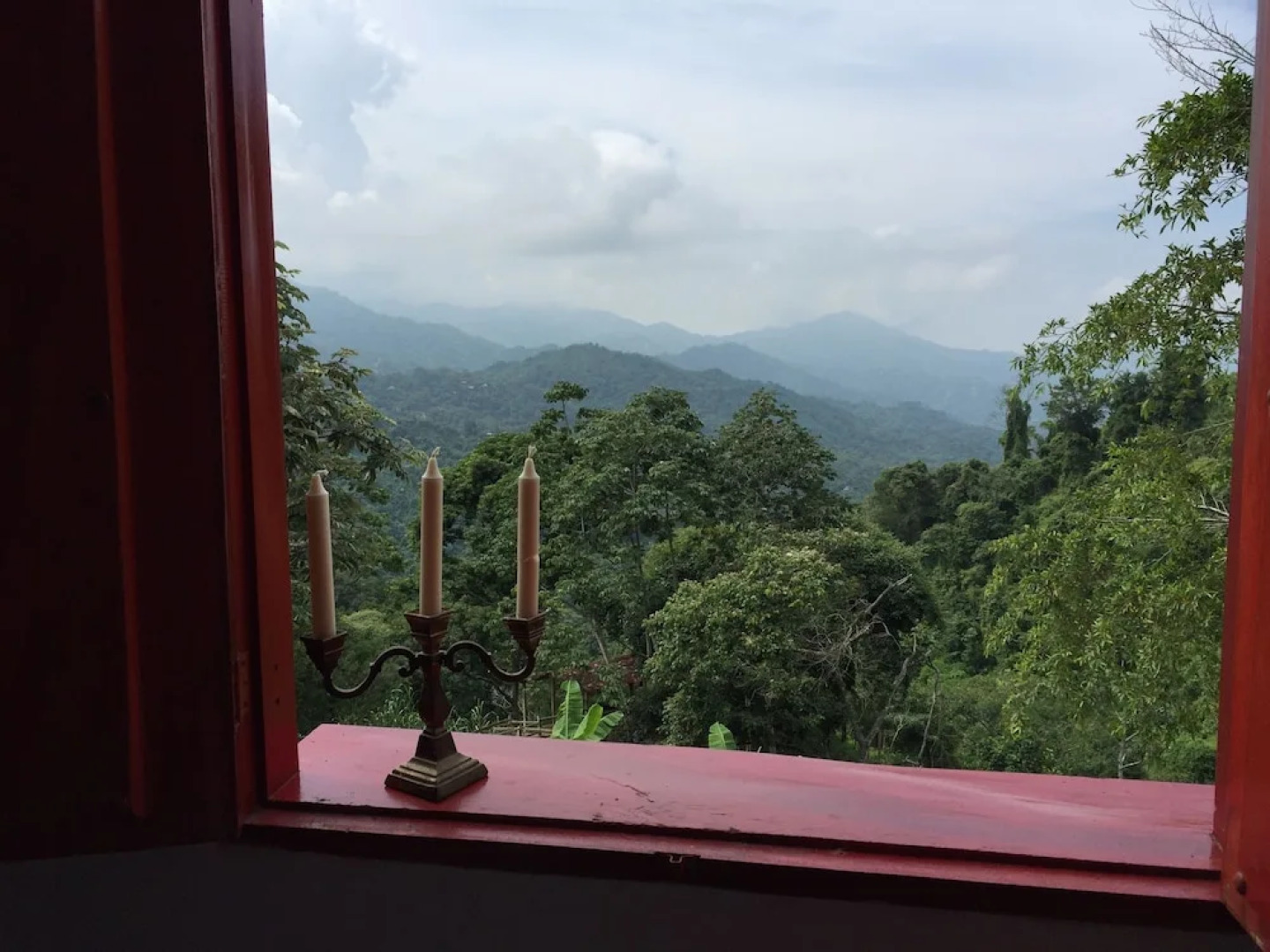 Finca Cafetera San Rafael