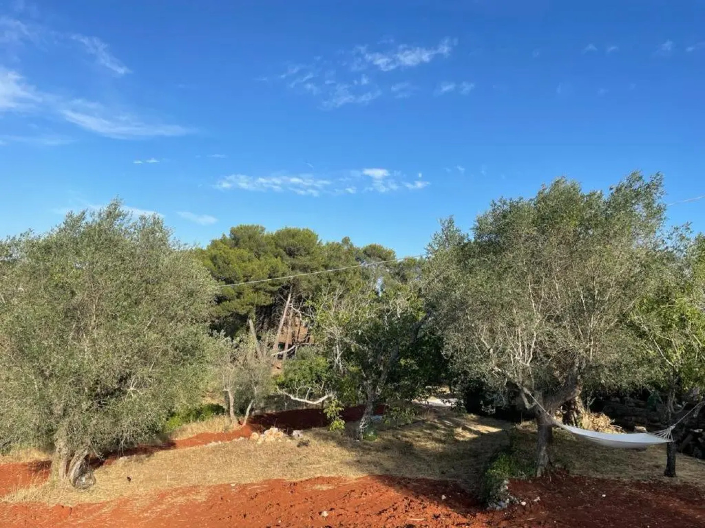 Casa Vacanze amazing trullilife