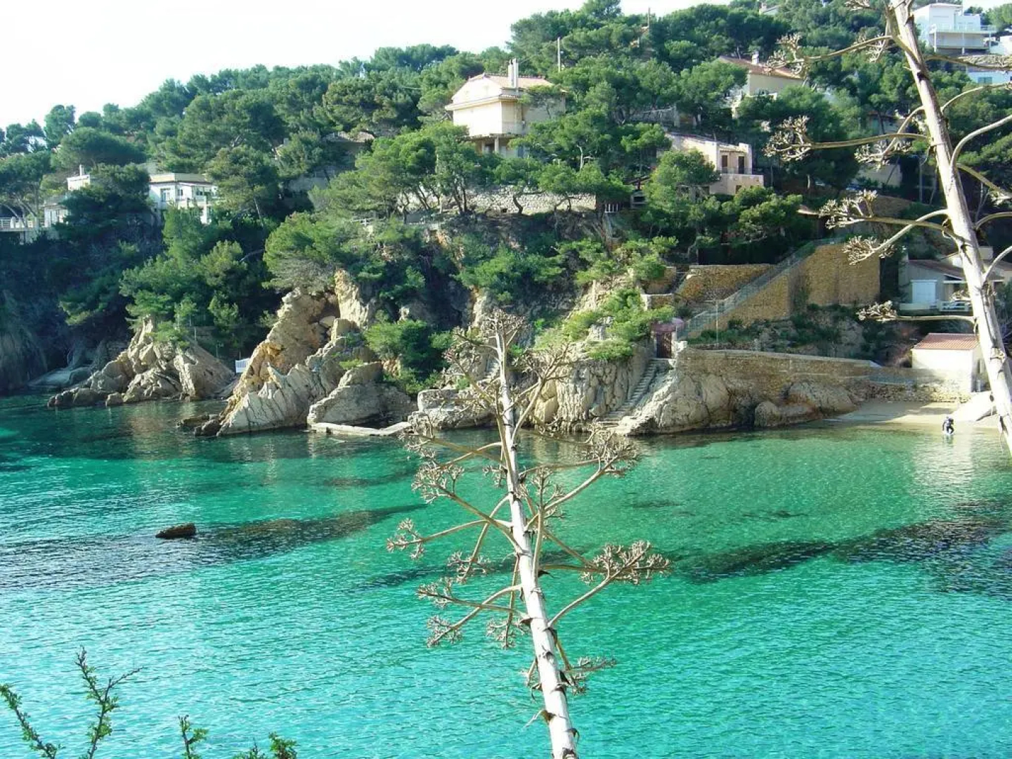 La Palmeraie des Calanques