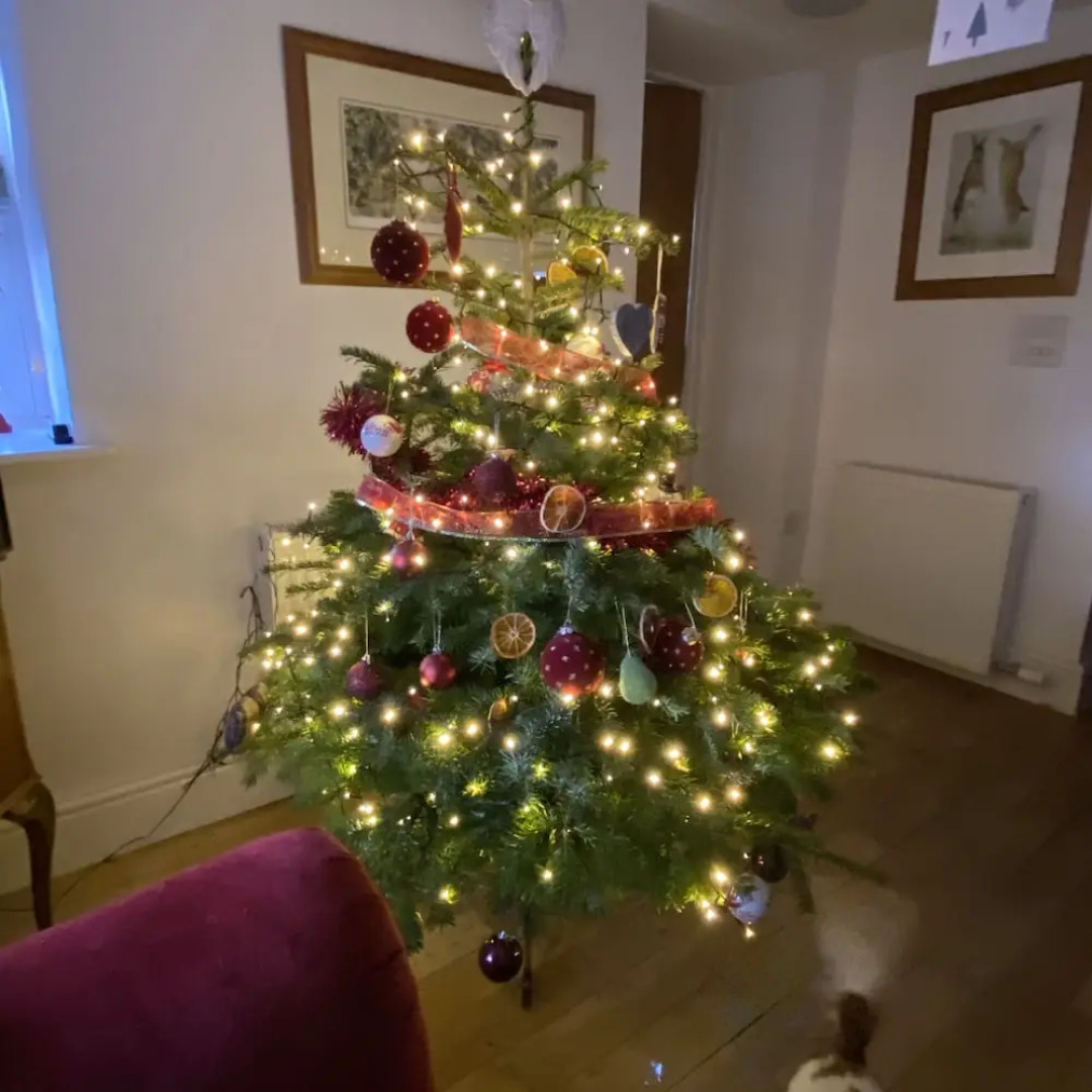 French Vintage Cottage in the Heart of the Fens