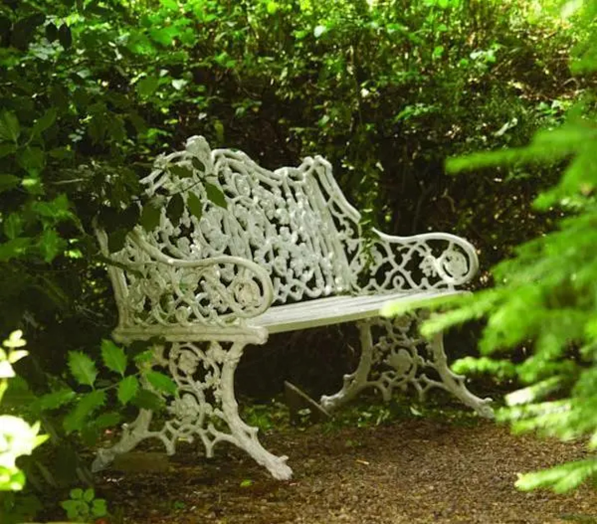 The Mount Royale Hotel