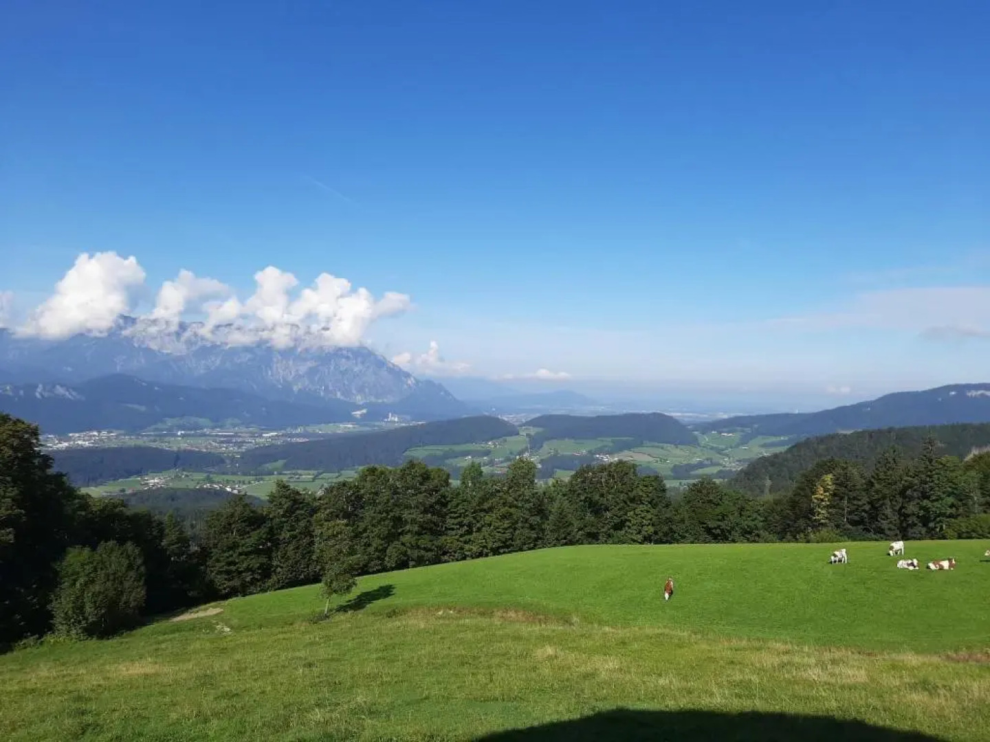 Ferienwohnung Manuela