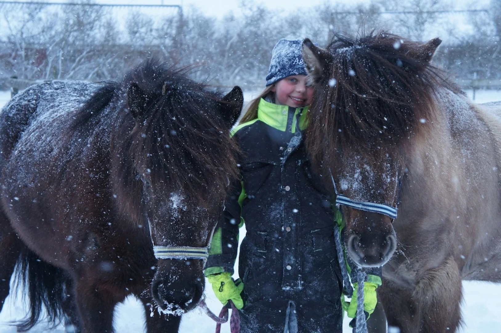 Ölands Yogastudio - Kollberggården