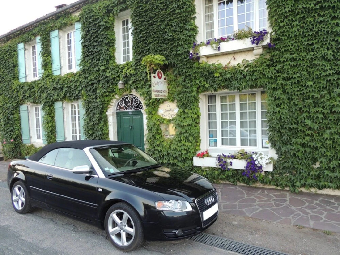 Le jardin des cygnes