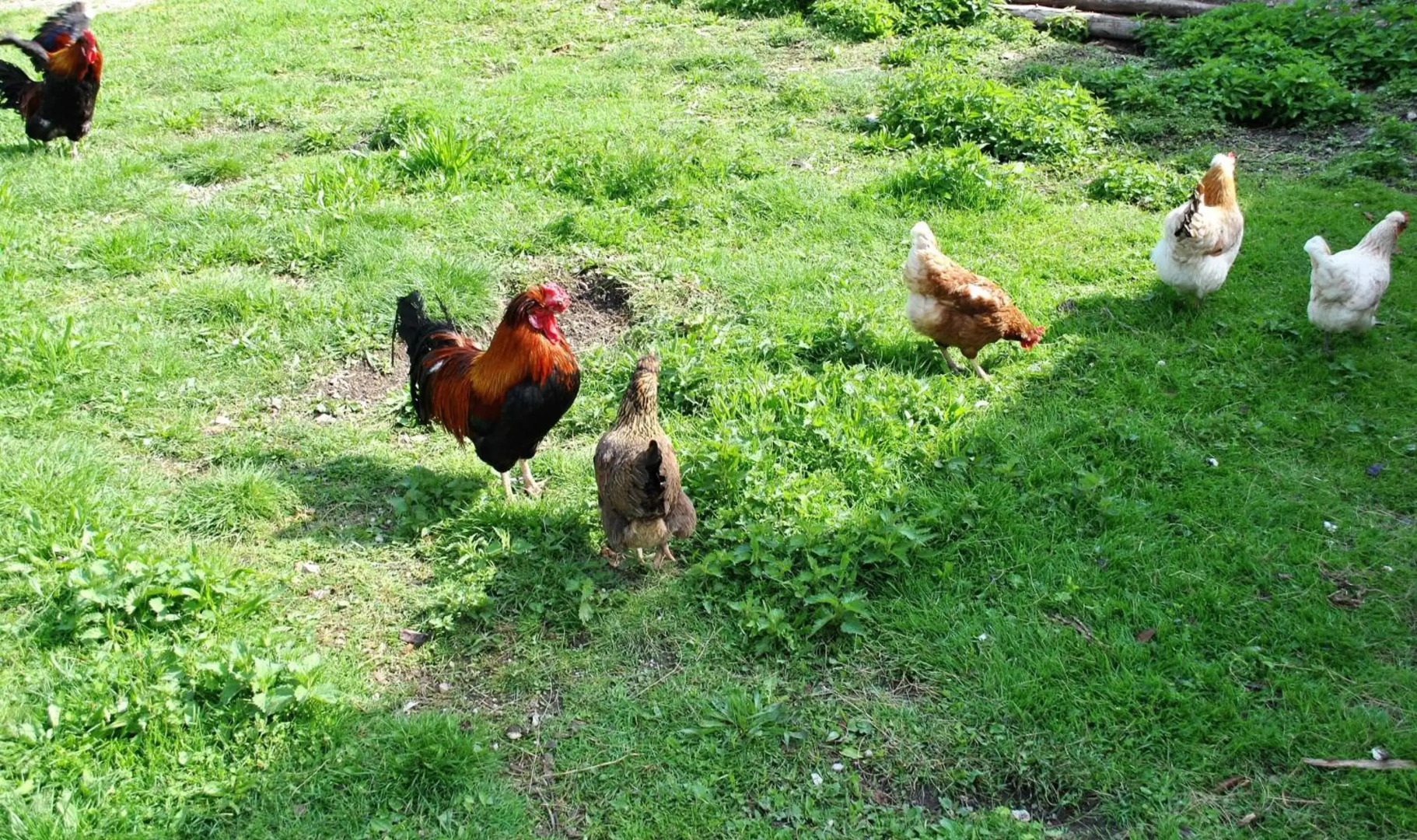 Ferienwohnung Leitner