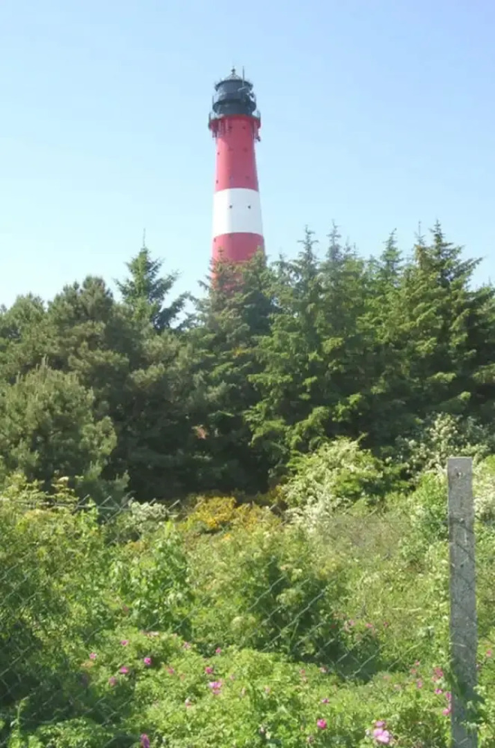 Rum Hart I - Apartment 9A