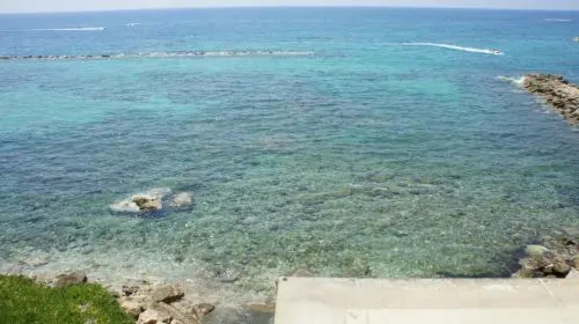 Limnaria Westpark 129