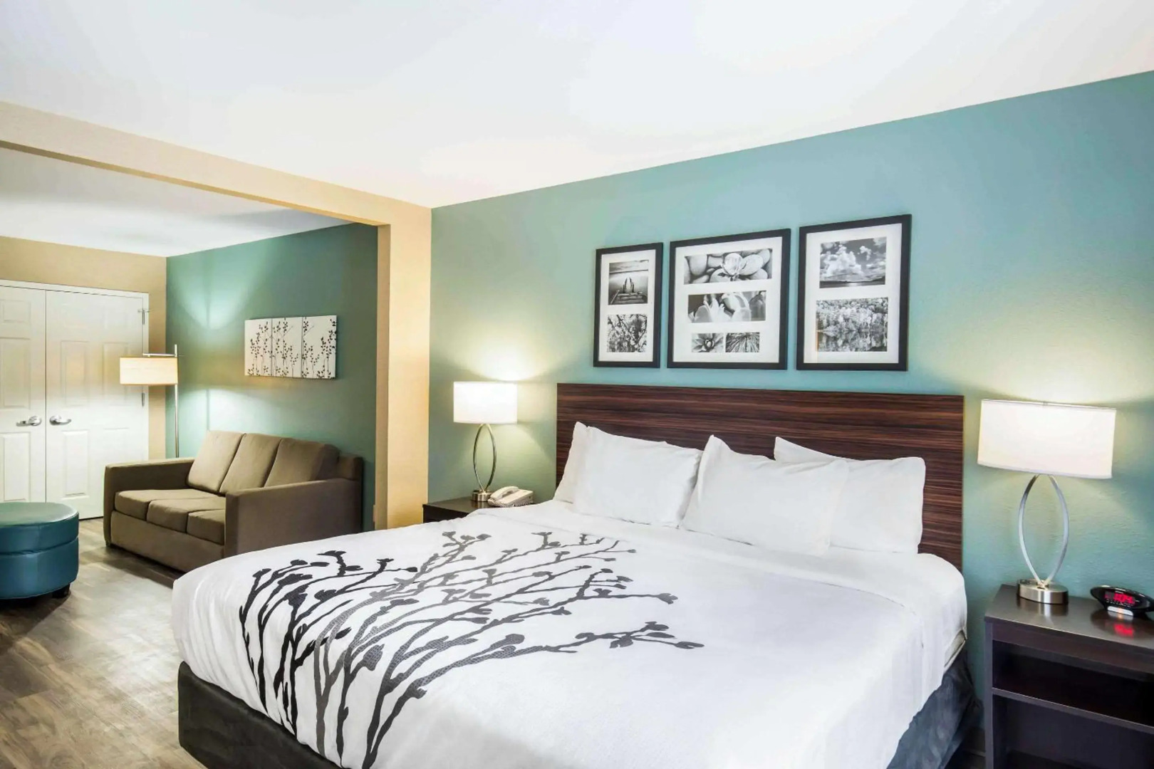 Sleep Inn & Suites Dunmore