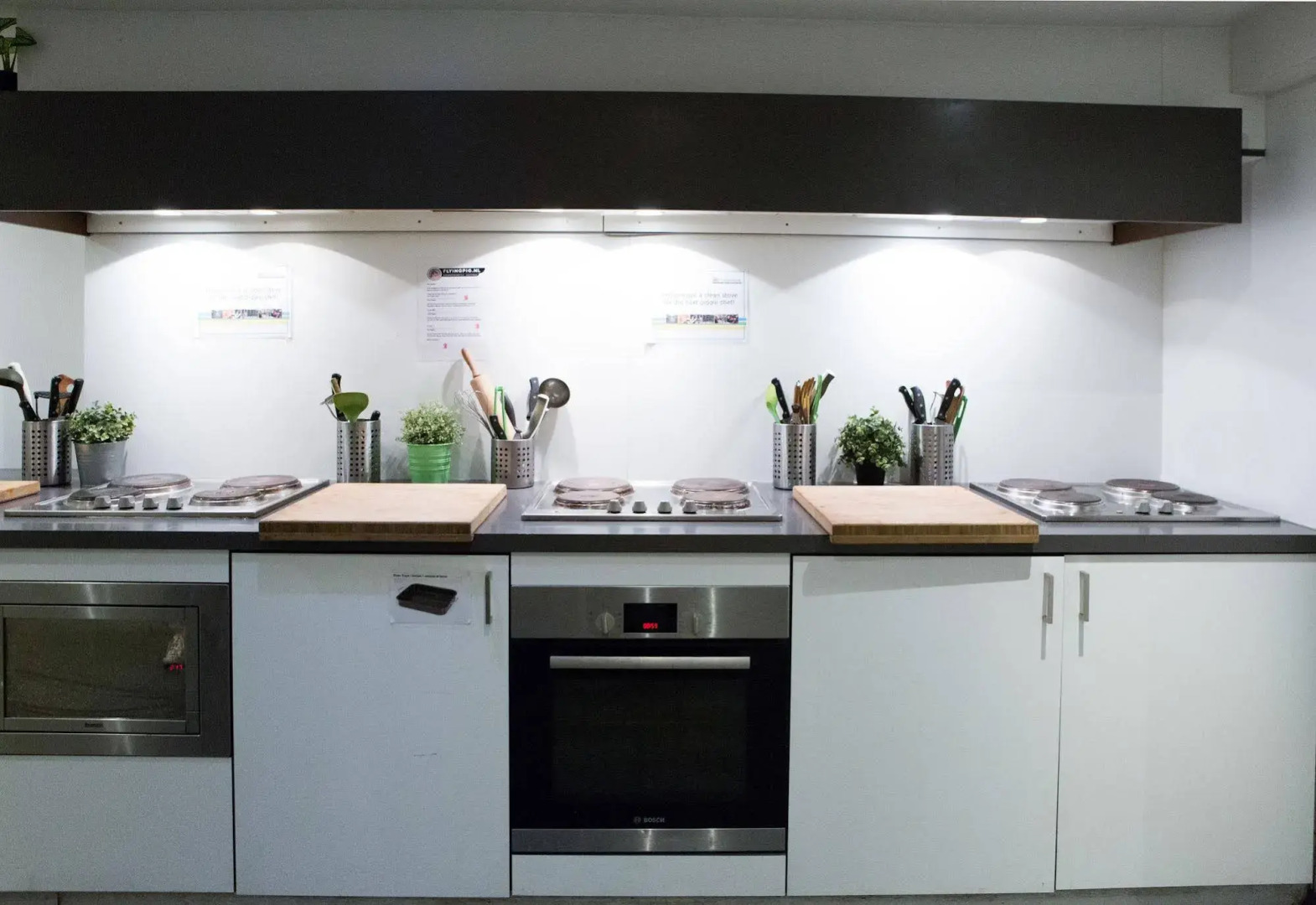 The Flying Pig Downtown Youth Hostel